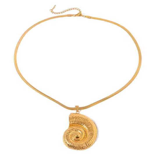 The Ammonite